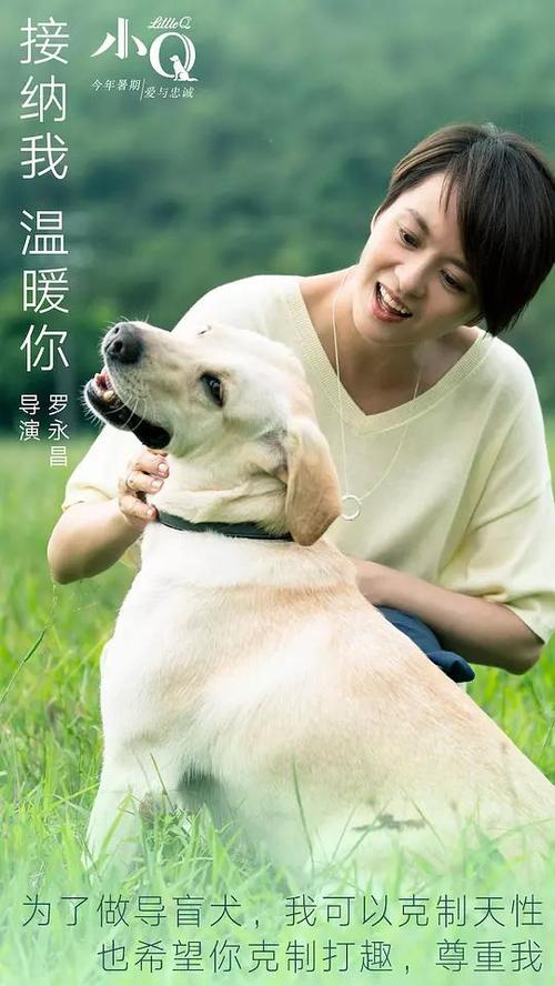 酪農大学市场营销文凭证书